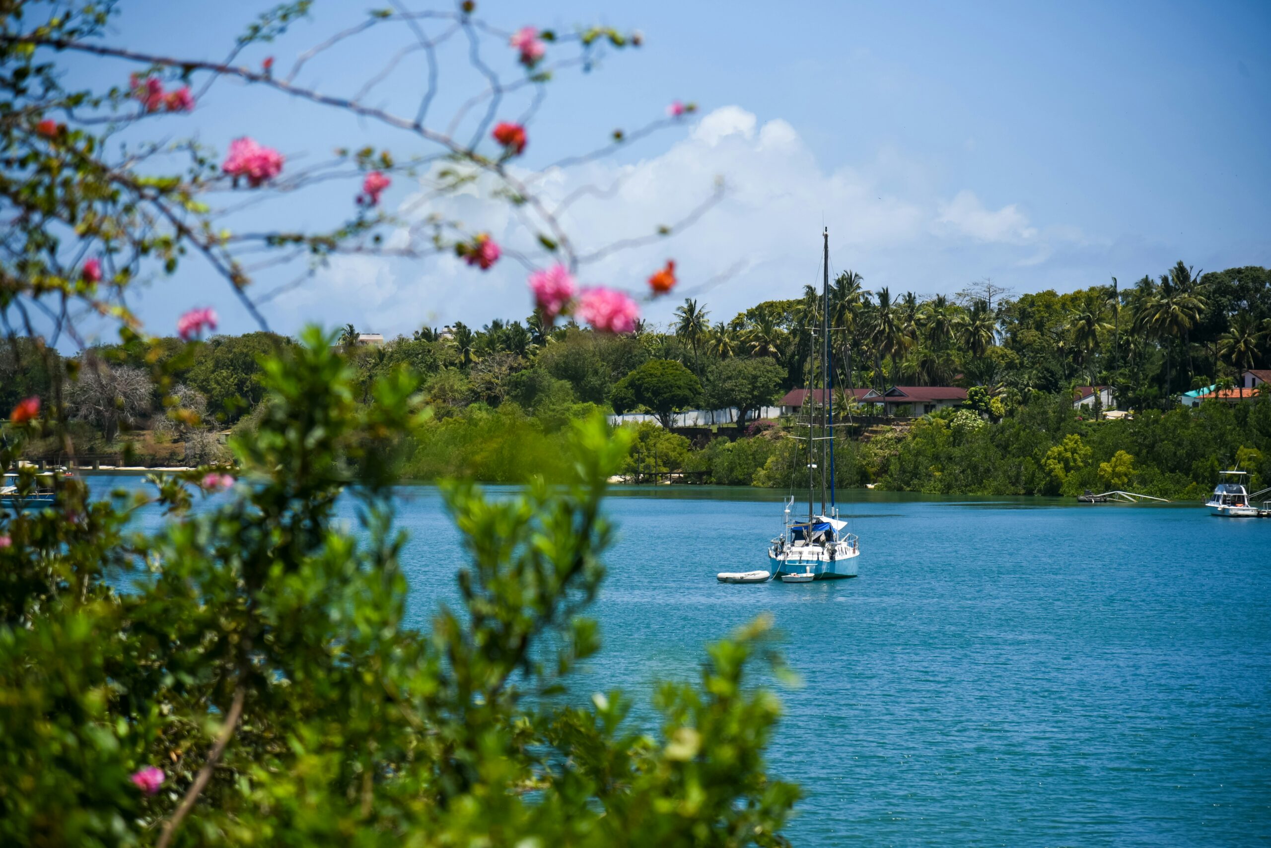 Side Hustles in Mombasa to Start Today