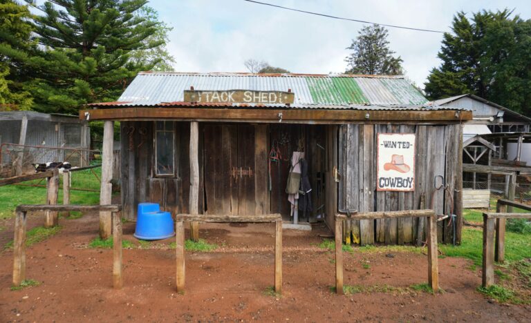 10 Ways Kenyan Entrepreneurs Can Use AI to Grow Their Small Business.